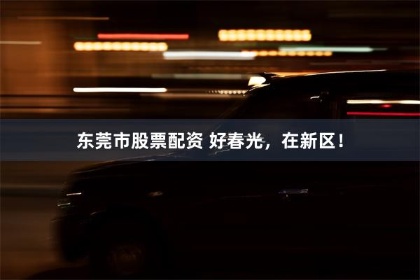 东莞市股票配资 好春光，在新区！