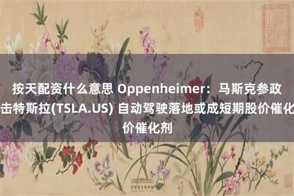 按天配资什么意思 Oppenheimer：马斯克参政痛击特斯拉(TSLA.US) 自动驾驶落地或成短期股价催化剂